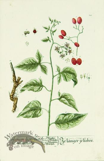 Blackwell German 196